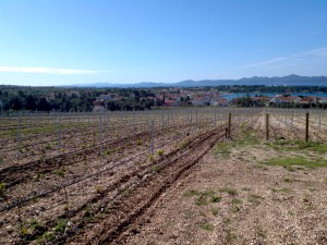 IMG_20120418_095631