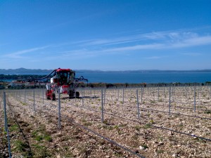 IMG_20120418_100843