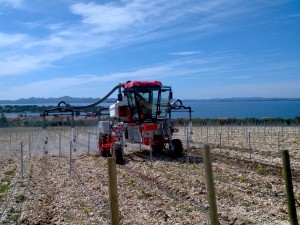 IMG_20120418_112621