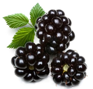 Kupina