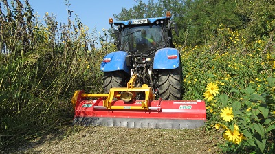 DOMINATOR 400_b