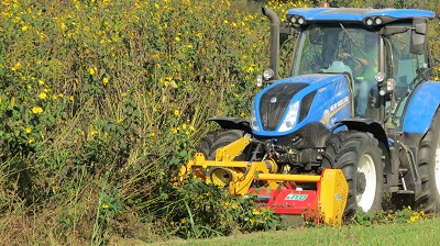 DOMINATOR 400_c